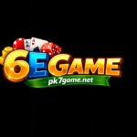 6E Game