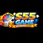 S55 Game