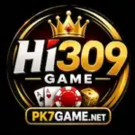 Hi309 Game